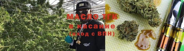 гидропоника Абаза