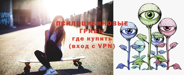 гидропоника Абаза