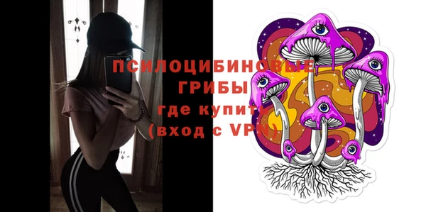 гидропоника Абаза