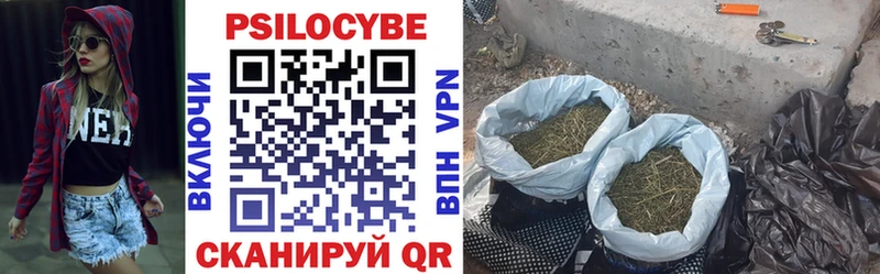 дарнет шоп Суздаль Галлюциногенные грибы мухоморы